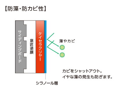 シラノール層がカビをシャットアウト