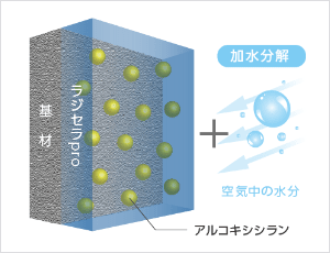 ラジセラpro塗装直後の図