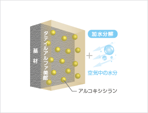 タテイルアルファ美館塗装直後の図