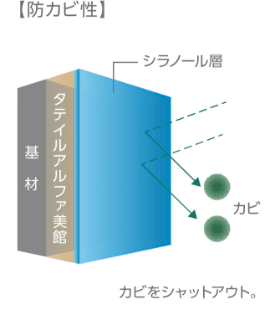 防カビ性のイメージ