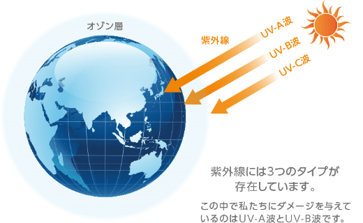 紫外線には3つのタイプが存在しています。この中で私たちにダメージを与えているのはUV-A波とUV-B波です。