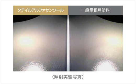 タテイルアルファサンクールと一般屋根用塗料の照射実験写真