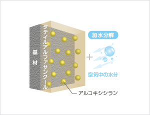 タテイルアルファサンクール塗装直後の図