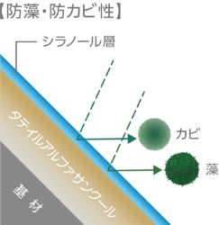 防カビ性イメージ