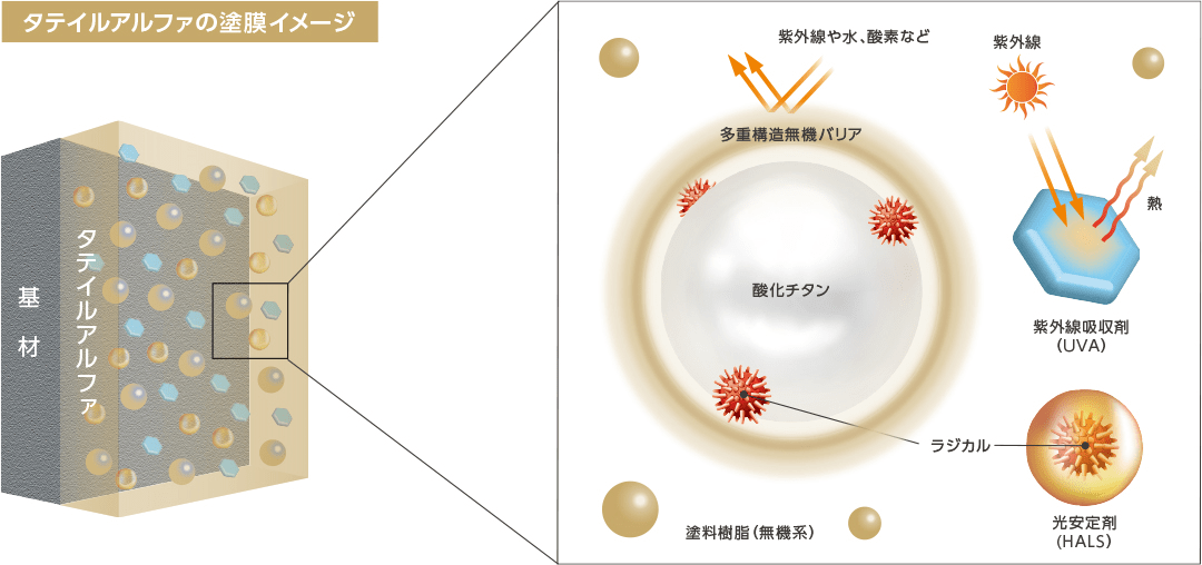 タテイルアルファの塗膜イメージ図