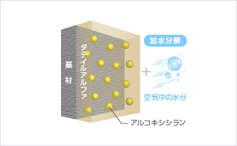 タテイルアルファ塗装直後の図