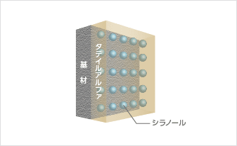 タテイルアルファ乾燥成膜過程の図