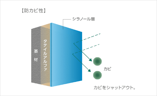 シラノール層がカビをシャットアウト