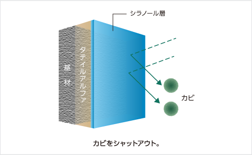 カビをシャットアウト。