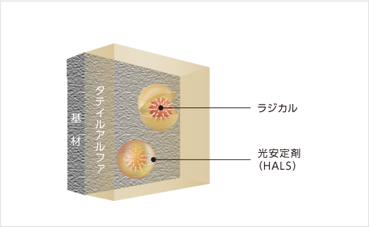 HALSイメージ