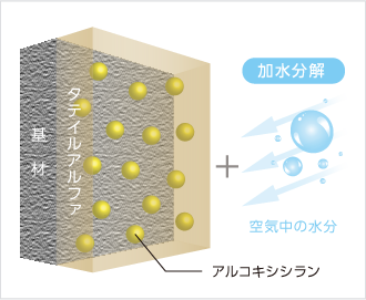 タテイルアルファ塗装直後の図