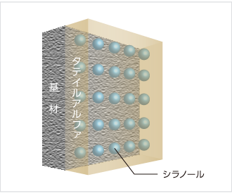 タテイルアルファ乾燥成膜過程の図